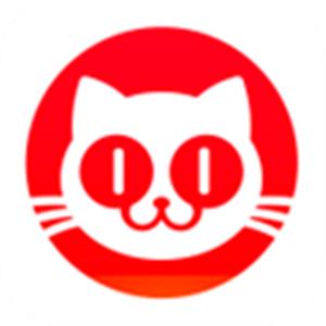 猫眼电影