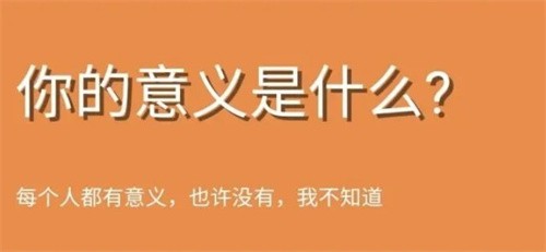 你的意义是什么截图1