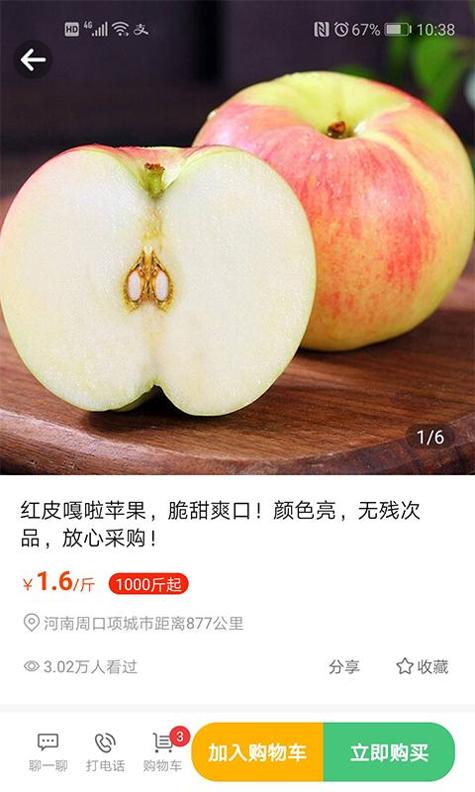 桃源明截图1