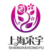 宋宇花城