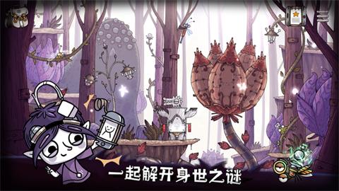 豆胡最新版