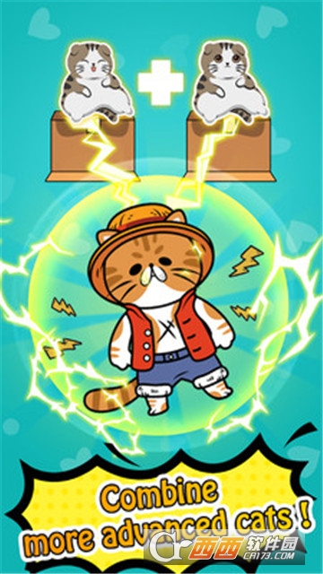 趣味猫咪