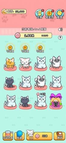 我的小猫花花截图1