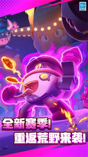 荒野乱斗私人服最新版截图0