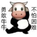 勇敢瑶瑶不怕困难表情包截图0