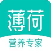 薄荷健康食谱