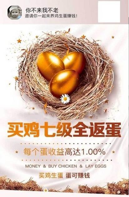 橙光农场
