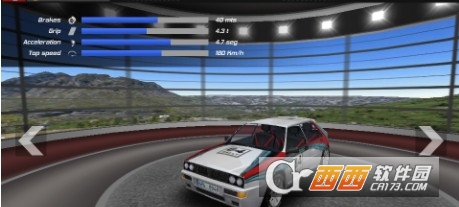 Rally Championship(拉力竞标赛) v1.0.39