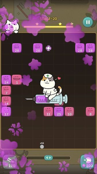 神奇猫咪牙科.jpg