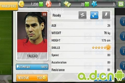 真实足球 2013 免验证版(含数据包) v1.0.7 v3.1.5