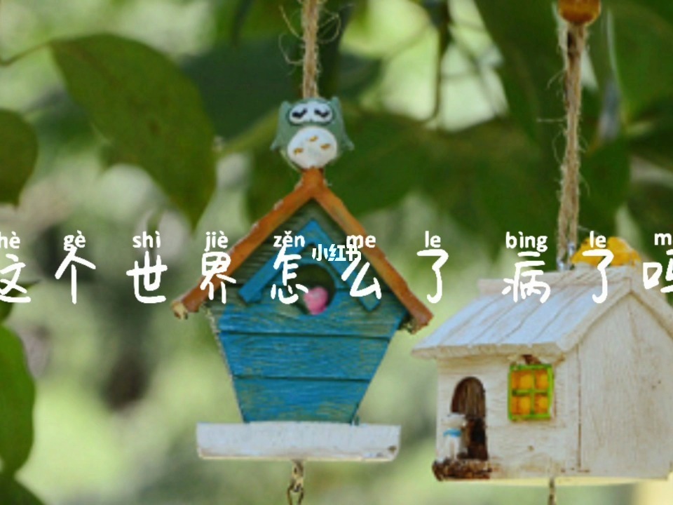 这个世界怎么了图片截图2