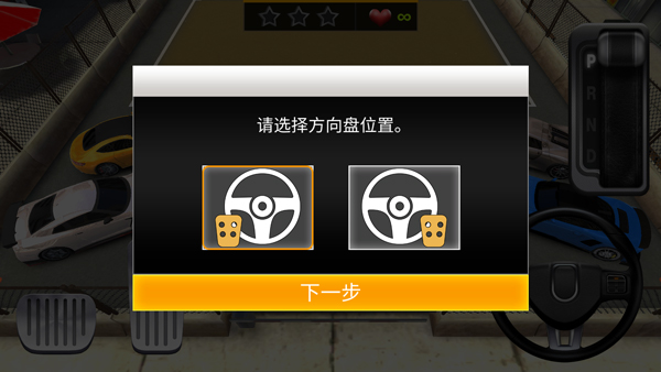 真实停车高手