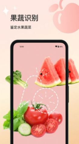 花卉识别大全截图2