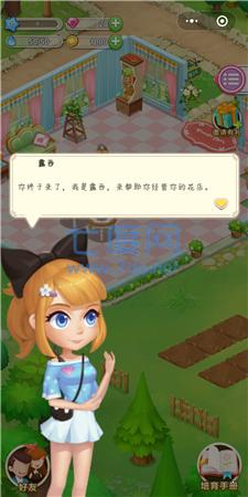 鲜花小镇破解版
