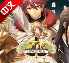 真实的公主中文版