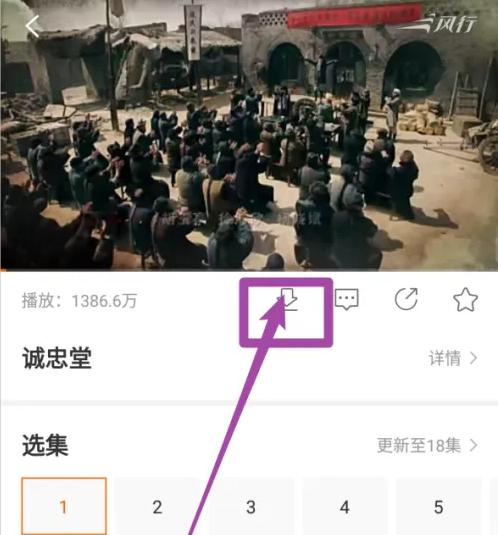风行视频tv版