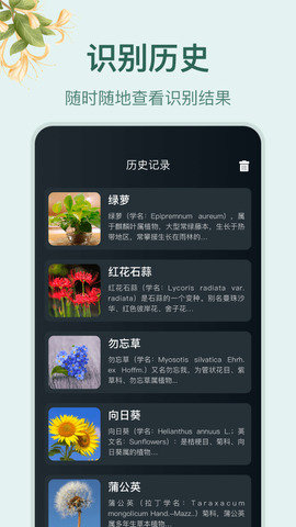 小园丁截图1