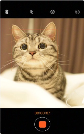 随即拍 2020-07-30 13:56