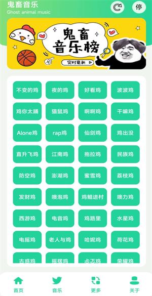 鸡音盒8.0无广告