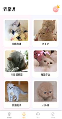 猫语翻译器.png