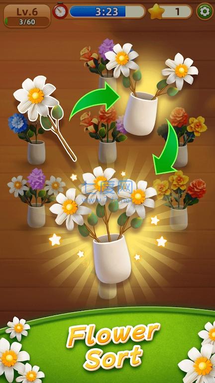 花朵排序挑战Flower Sort