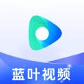 蓝叶视频软件红包版 