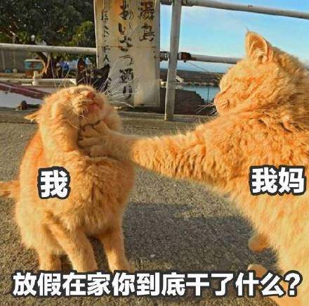 放假在家我的日常表情包截图2