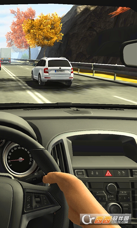 真实开车 v1.5安卓版