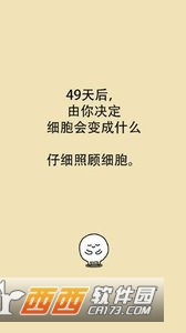 我和细胞的49天生活