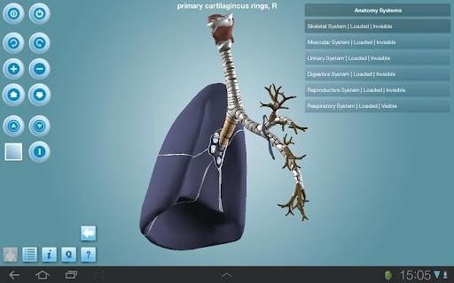 Anatomy 3D 版本：v1.47