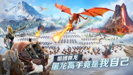 龙与纷争截图2