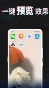 异次元壁纸 v1.1 