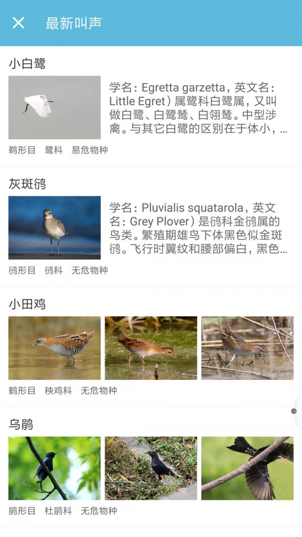 鸟叫声大全 版本：v3.5.8