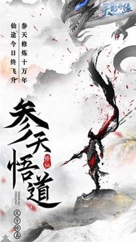 天影奇缘截图2