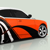 菜鸟驾校模拟驾驶游戏