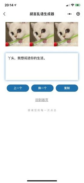 胡言乱语生成器游戏官方最新版 截图2