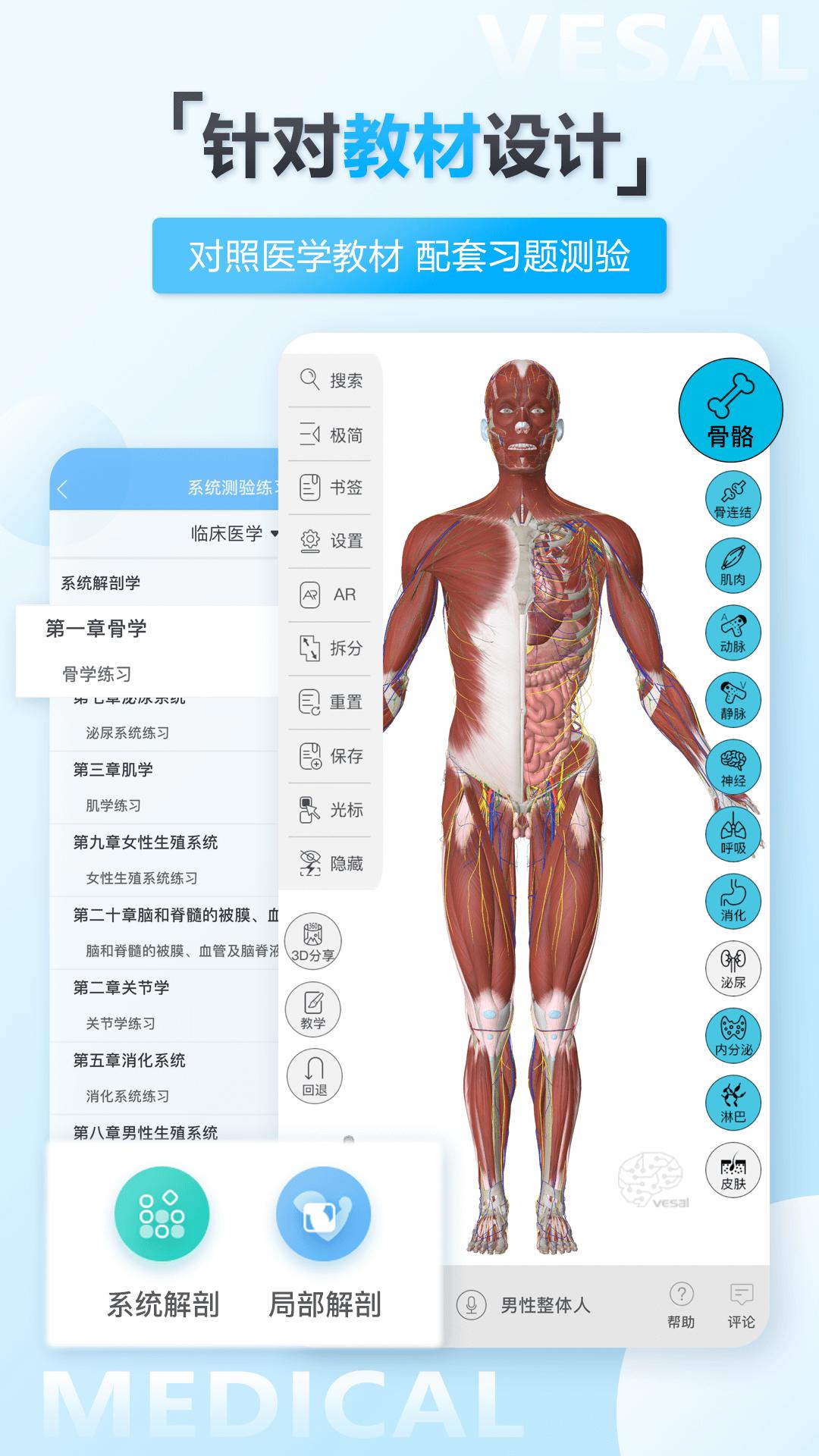 维萨里3D解剖  v5.8.0