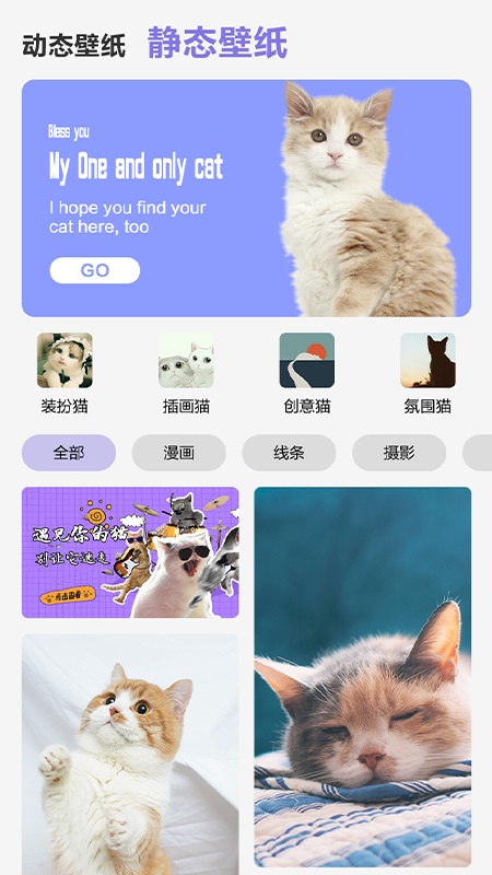 可爱喵喵壁纸大全.jpg