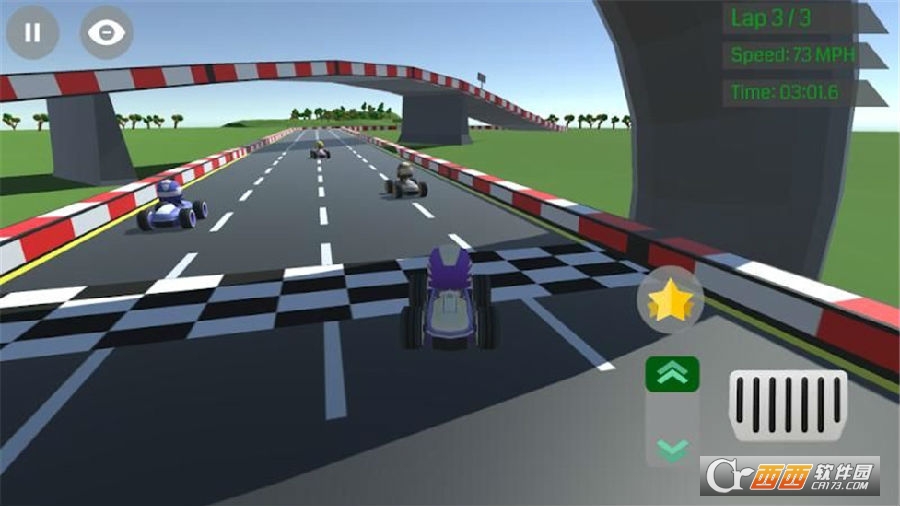 Mini Speedy Racers