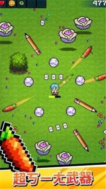 这是武器吗  v1.1.17