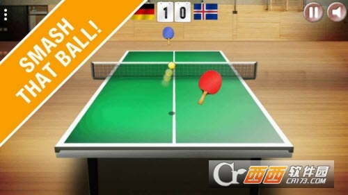 Table Tennis World Tour(乒乓球3D) 20.17.51安卓版
