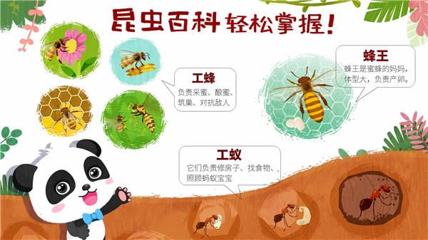 奇妙昆虫世界游戏最新版截图2