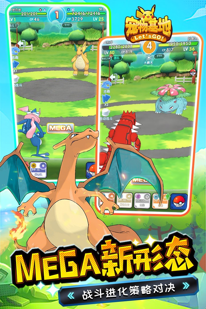 宠物基地 2019-10-17 17:51