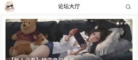 桔子岛