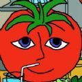 番茄先生正版