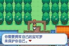 口袋妖怪梦的光点中文版截图1