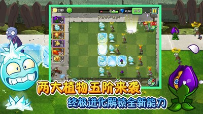 植物大战僵尸22.5.7国际服截图0