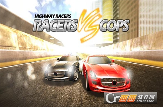 赛车手VS警察(Racers Vs Cops)