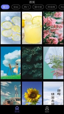 花田动态壁纸.jpg