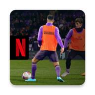 fm足球经理2024中文版